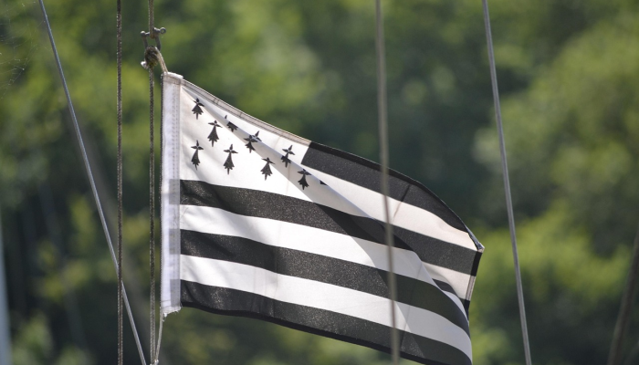 尼日利亚连体双胞胎“哈桑娜和哈西娜”抵达利雅得 尼日利亚连体双胞胎“哈桑娜和哈西娜”抵达利雅得