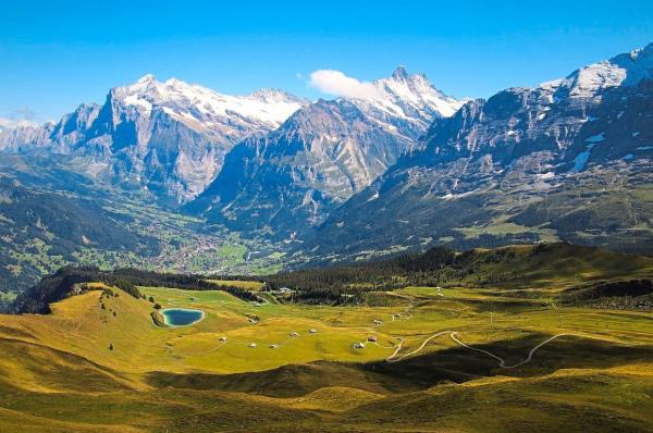 实测辅助“哈灵干瞪眼一直输!分享用挂教程 实测辅助“哈灵干瞪眼一直输!分享用挂教程