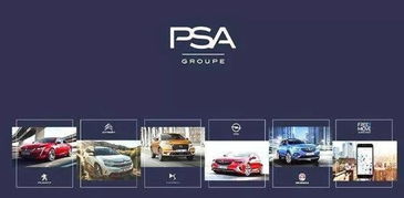 玩家辅助神器:“小程序四川麻将换三张有挂吗”(曝光透视必备猫腻) 玩家辅助神器:“小程序四川麻将换三张有挂吗”(曝光透视必备猫腻)