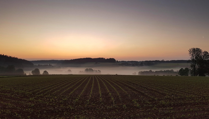 玩家辅助神器:“网易棋牌如何开挂”其实确实有挂 玩家辅助神器:“网易棋牌如何开挂”其实确实有挂