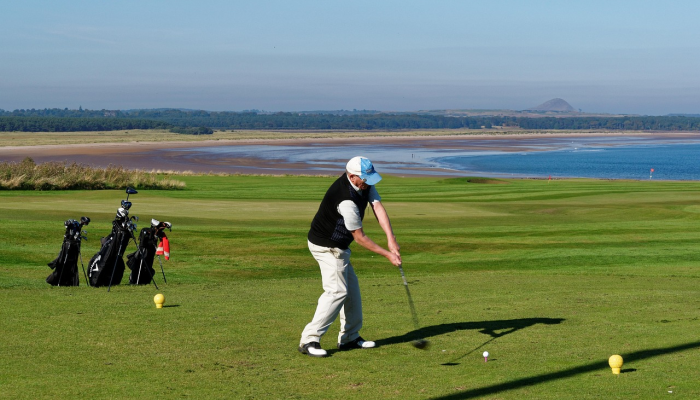 录像：放归野外的褐鹈鹕_2