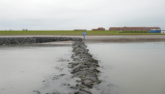奎松岛因恶劣天气停课