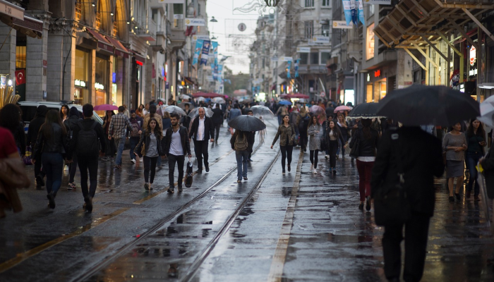 教程辅助!“皮皮跑胡子透视神器”(曝光透视必备猫腻)