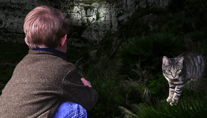 玩家必看教程“家乡大贰开挂器”(原来确实是有挂) 玩家必看教程“家乡大贰开挂器”(原来确实是有挂)