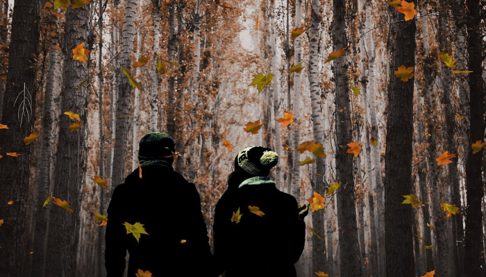 庇护所：一个女巫的故事评论