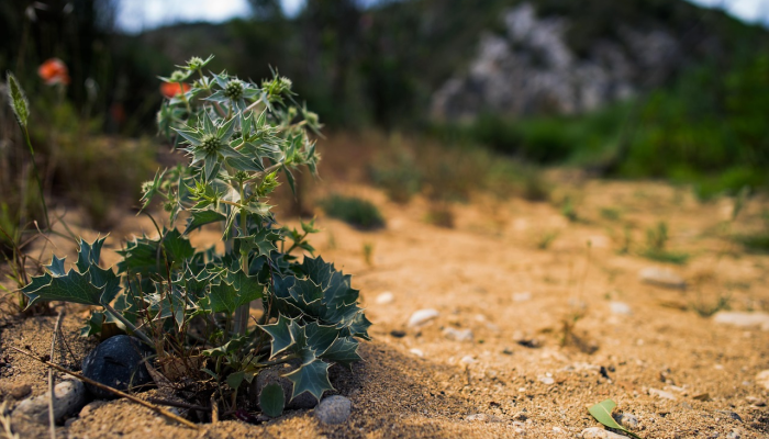 推荐一款”天涯麻将开挂神器下载安装”详细开挂玩法