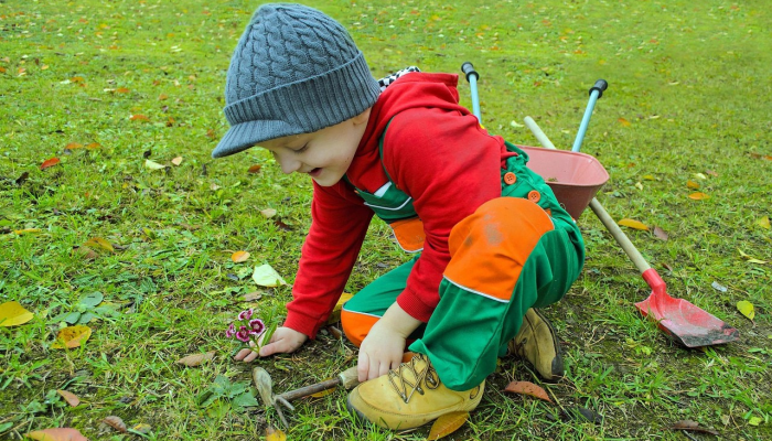 辅助神器“新毛豆互娱有挂吗 涨口碑”其实确实有挂