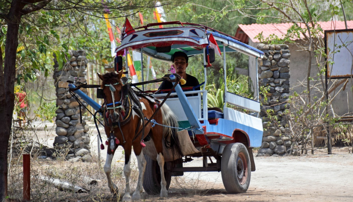 推荐一款”新道游有挂吗”(原来确实是有挂)