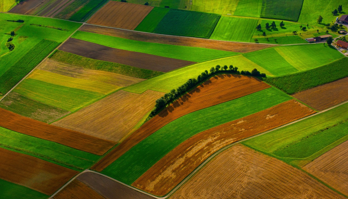 玩家辅助神器:“微乐内蒙麻将小程序必赢神器免费安装”其实确实有挂 玩家辅助神器:“微乐内蒙麻将小程序必赢神器免费安装”其实确实有挂
