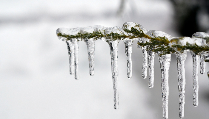 玩家必看教程“新人皇有透视挂吗”分享用挂教程