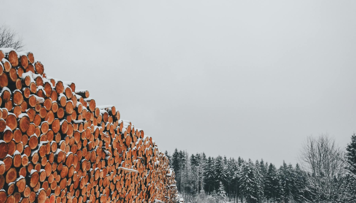 马克龙表示,对贫穷国家的援助可以遏制冲突的蔓延 马克龙表示,对贫穷国家的援助可以遏制冲突的蔓延