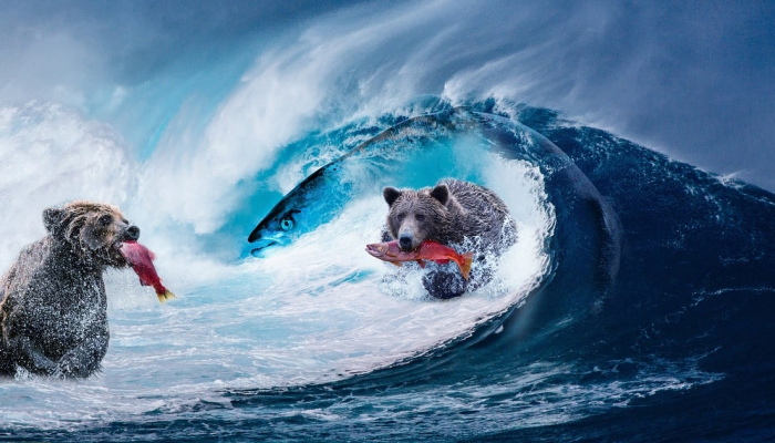 垂钓者的“圣杯”捕获可能创造新的世界纪录看看这条德州巨鱼