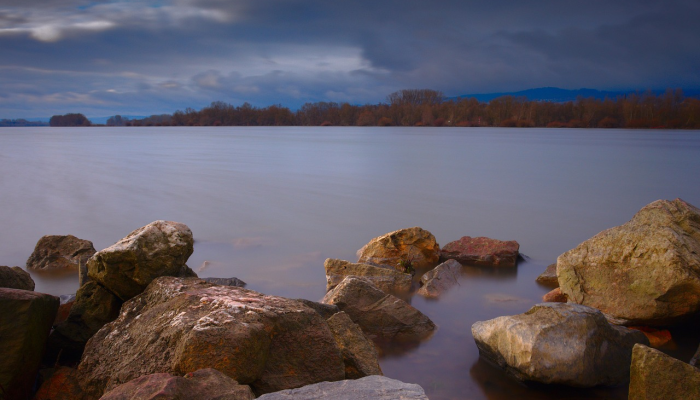 DEQ监测新伯尔尼附近Neuse河正在发生的鱼类死亡