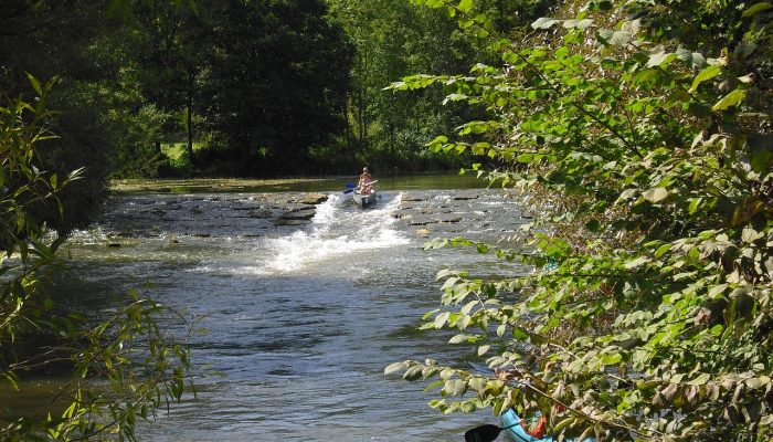 DEQ监测新伯尔尼附近Neuse河正在发生的鱼类死亡