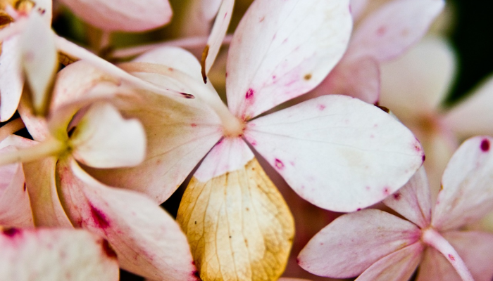 以下是我希望在我花了7年心碎的时间想要个孩子之前就知道的事情 以下是我希望在我花了7年心碎的时间想要个孩子之前就知道的事情