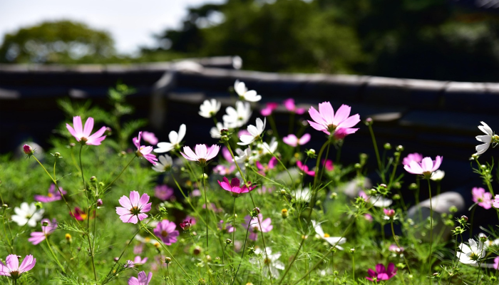 以下是我希望在我花了7年心碎的时间想要个孩子之前就知道的事情 以下是我希望在我花了7年心碎的时间想要个孩子之前就知道的事情