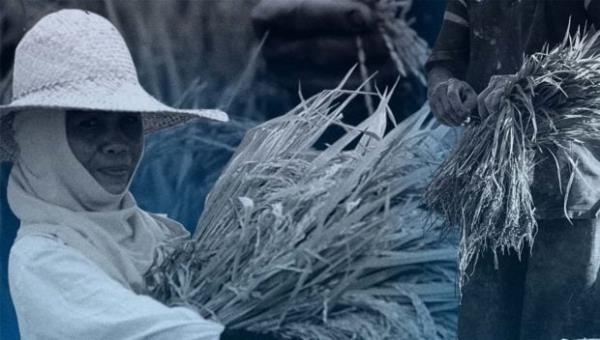 推荐一款”广西八一字牌可以开挂吗”(原来确实是有挂) 推荐一款”广西八一字牌可以开挂吗”(原来确实是有挂)