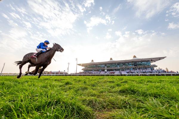 玩家必看教程“都莱罗松有挂吗”其实确实有挂
