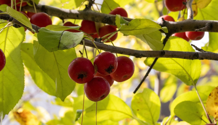 实测辅助“高速互娱有没有挂”开挂(透视)辅助教程