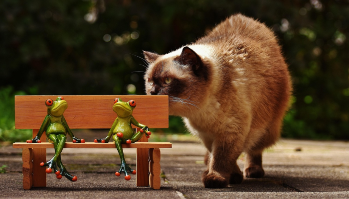 教程辅助!“哈哈长沙麻将开挂最新版本更新内容”(曝光透视必备猫腻)