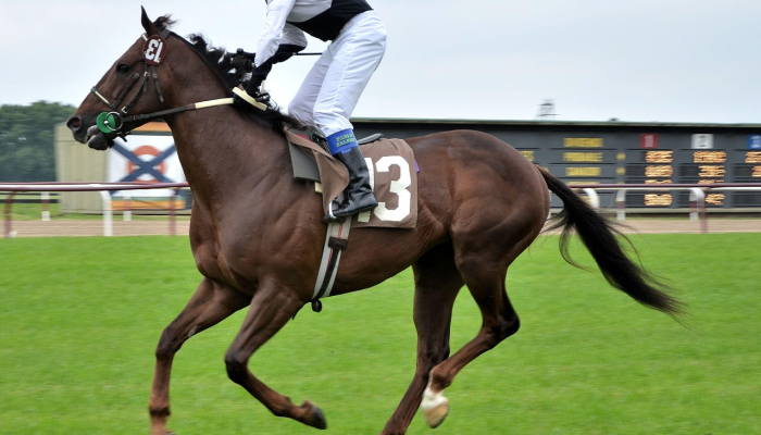 奥加拉的挫败感：拉罗谢尔在主场输给卡斯特后，在14强赛的四场比赛中输了第三场