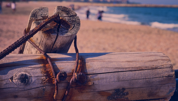 推特的一位早期投资者表示,埃隆·马斯克是“孤身一人”,并在快速变化中“即兴发挥” 推特的一位早期投资者表示,埃隆·马斯克是“孤身一人”,并在快速变化中“即兴发挥”