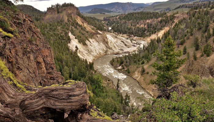 教程辅助!“大宝连云港麻将怎么开挂”其实确实有挂 教程辅助!“大宝连云港麻将怎么开挂”其实确实有挂