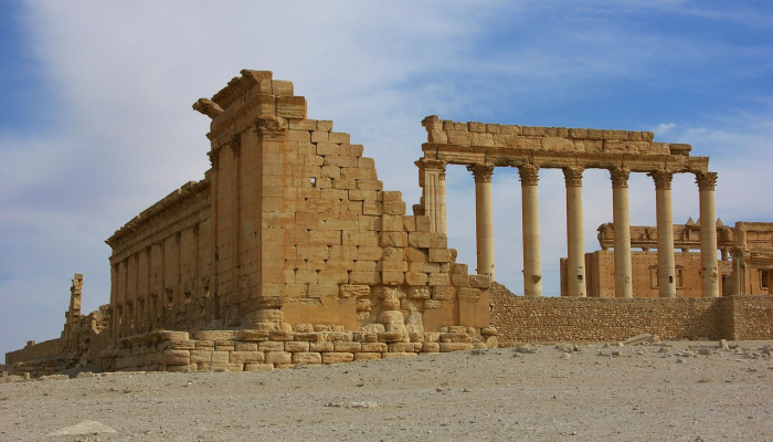 3名疑似民族援助军叛军在西内格罗冲突中死亡 3名疑似民族援助军叛军在西内格罗冲突中死亡