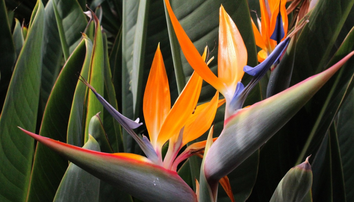 君主：怪物之星的遗产揭示了君主的最大问题