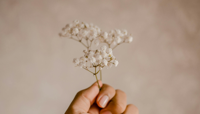 推荐一款”雀神广东麻将免费开挂教程”(原来确实是有挂) 推荐一款”雀神广东麻将免费开挂教程”(原来确实是有挂)