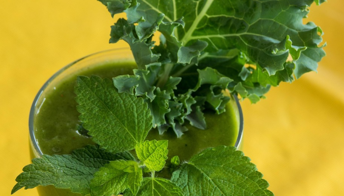 吃素对我合适吗?Netflix的《你就是你吃的东西》测试了植物性饮食的健康程度 吃素对我合适吗?Netflix的《你就是你吃的东西》测试了植物性饮食的健康程度