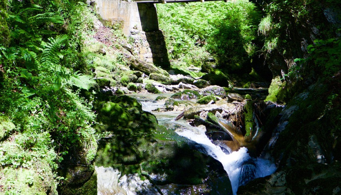 当地人的反应是托潘加峡谷大道在关闭近三个月后重新开放 当地人的反应是托潘加峡谷大道在关闭近三个月后重新开放