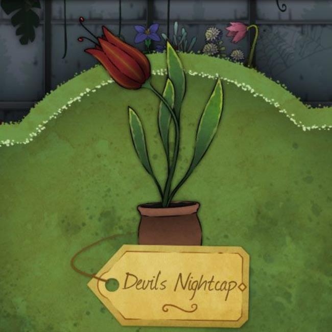 A pale, gray-blue flower with a big yellow pistil called Winterbore in Strange-Horticulture