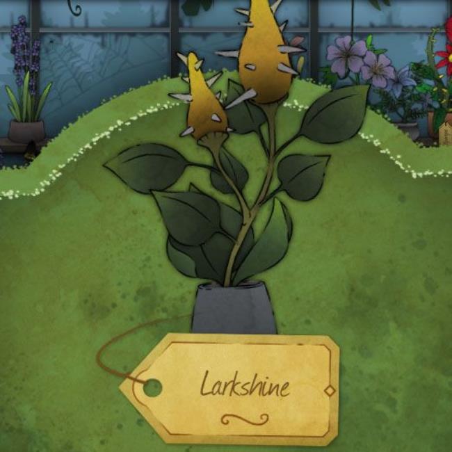 A large, light purple flower with five broad petals called Prittle in Strange Horticulture.