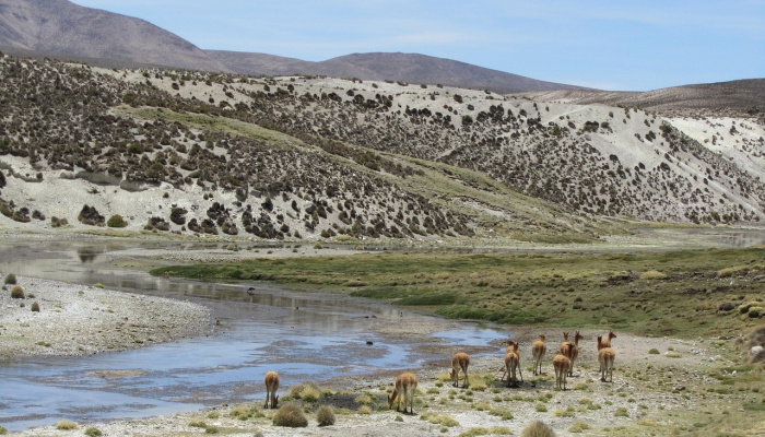 土耳其和希腊的关系进入了一个新的、积极的时代：Fidan