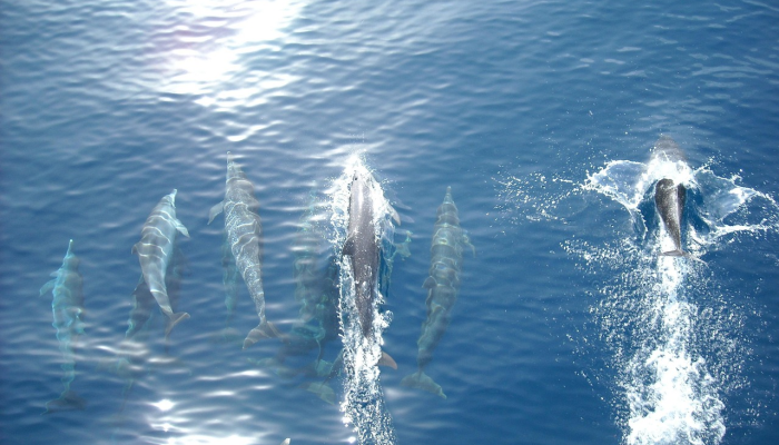 冷气体推进器升温：美国宇航局的普赛克任务发射推迟