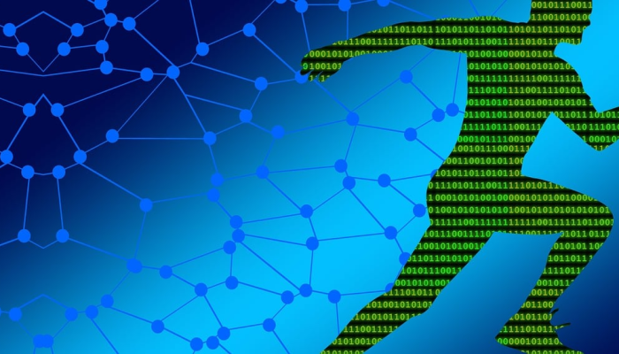 基于粒子的欧拉畸变场及其动力学研究 基于粒子的欧拉畸变场及其动力学研究