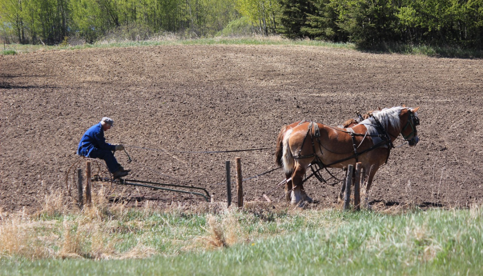 辅助神器“渤海麻将十三水怎么开挂!分享用挂教程 辅助神器“渤海麻将十三水怎么开挂!分享用挂教程