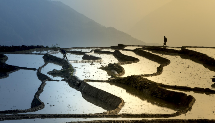 彭德尔伯里,侧底,喜鹊占上风 彭德尔伯里,侧底,喜鹊占上风