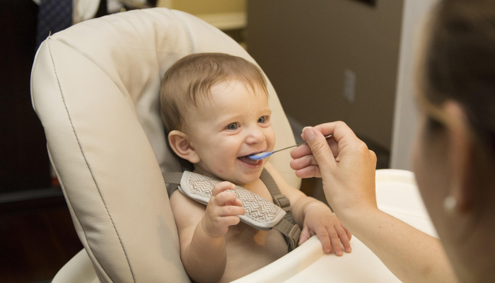 慈善机构称，政府的免费儿童保育计划陷入混乱