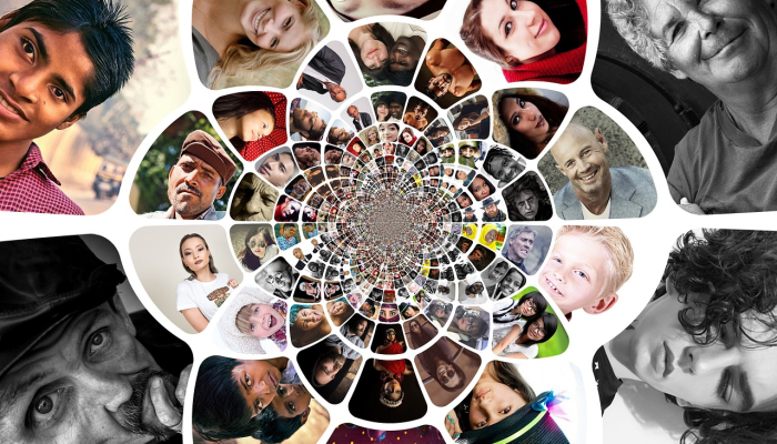 友谊,食物和羽毛:寒鸦换朋友获得奖励-但坚持与家人 友谊,食物和羽毛:寒鸦换朋友获得奖励-但坚持与家人