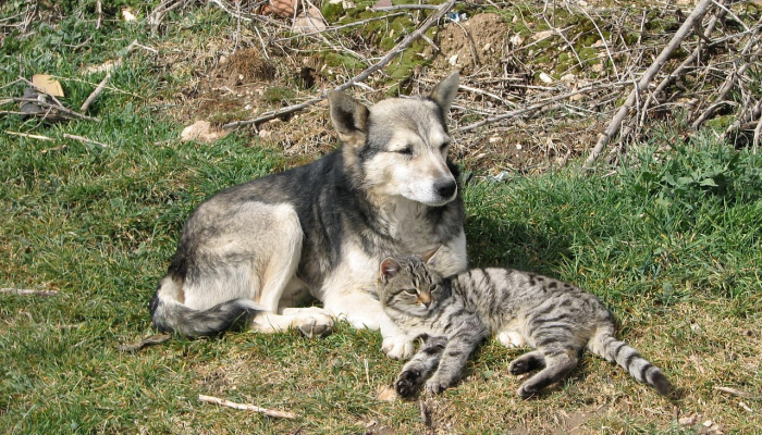 最新教你“终于知道天天福建十三水有没有开挂”分享用挂教程 最新教你“终于知道天天福建十三水有没有开挂”分享用挂教程