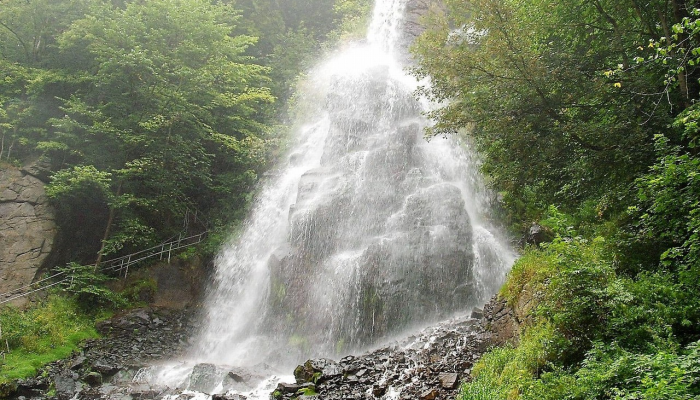 辅助神器“中至九江讨赏挂”开挂(透视)辅助教程