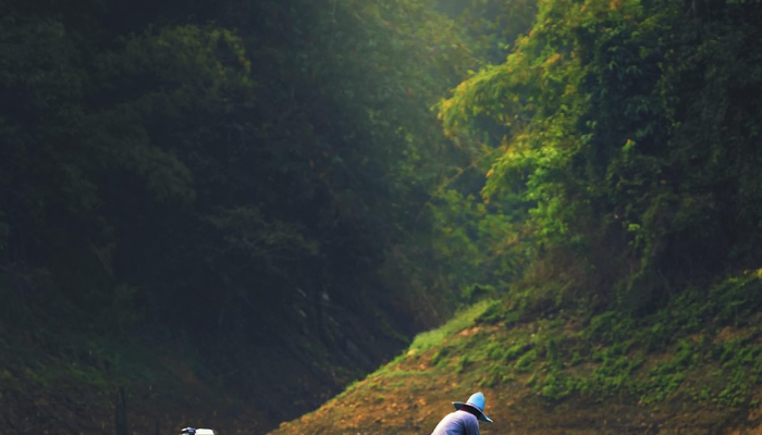 安达卢西亚:Do?ana的环境宝藏受到干旱和非法水井的威胁 安达卢西亚:Do?ana的环境宝藏受到干旱和非法水井的威胁