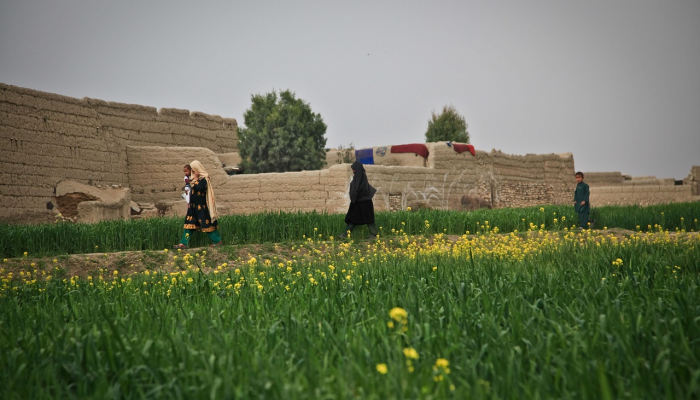 “哈马斯学到了希特勒仇恨犹太人的意识形态”:以色列总统艾萨克·赫尔佐格说,在《我的坎普》的副本中发现了一名战士 “哈马斯学到了希特勒仇恨犹太人的意识形态”:以色列总统艾萨克·赫尔佐格说,在《我的坎普》的副本中发现了一名战士