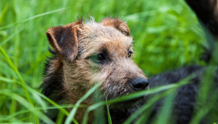 推荐一款”永盛联盟有挂吗”开挂(透视)辅助教程 推荐一款”永盛联盟有挂吗”开挂(透视)辅助教程