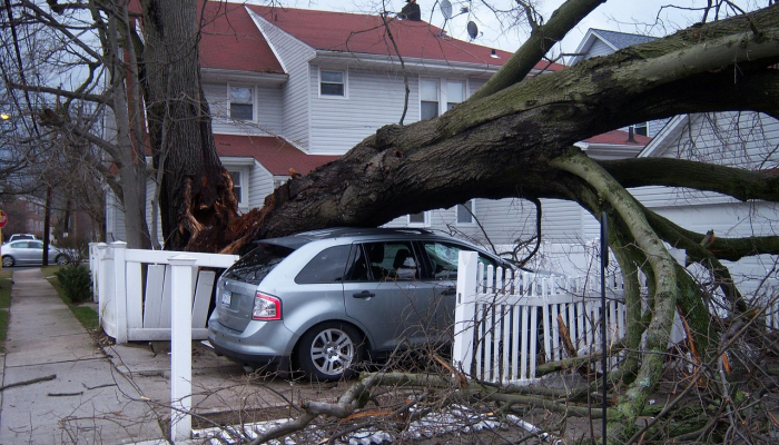 1分钟学会“开心泉州麻将怎么打会赢!分享用挂教程