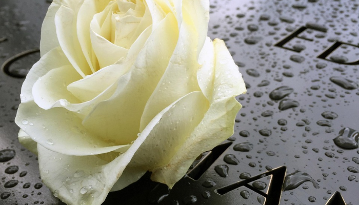 法院支持法官因发表种族主义和性别歧视言论而被免职