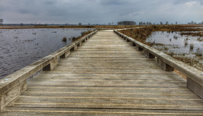 希腊消防员奋力控制山火，其中包括欧盟最大的大火