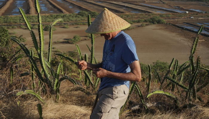 尼日尔努力保持其传统音乐的活力